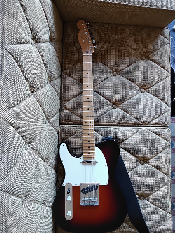Fender USA American  Professional Telecaster Left-Hand 3CS/RWの画像